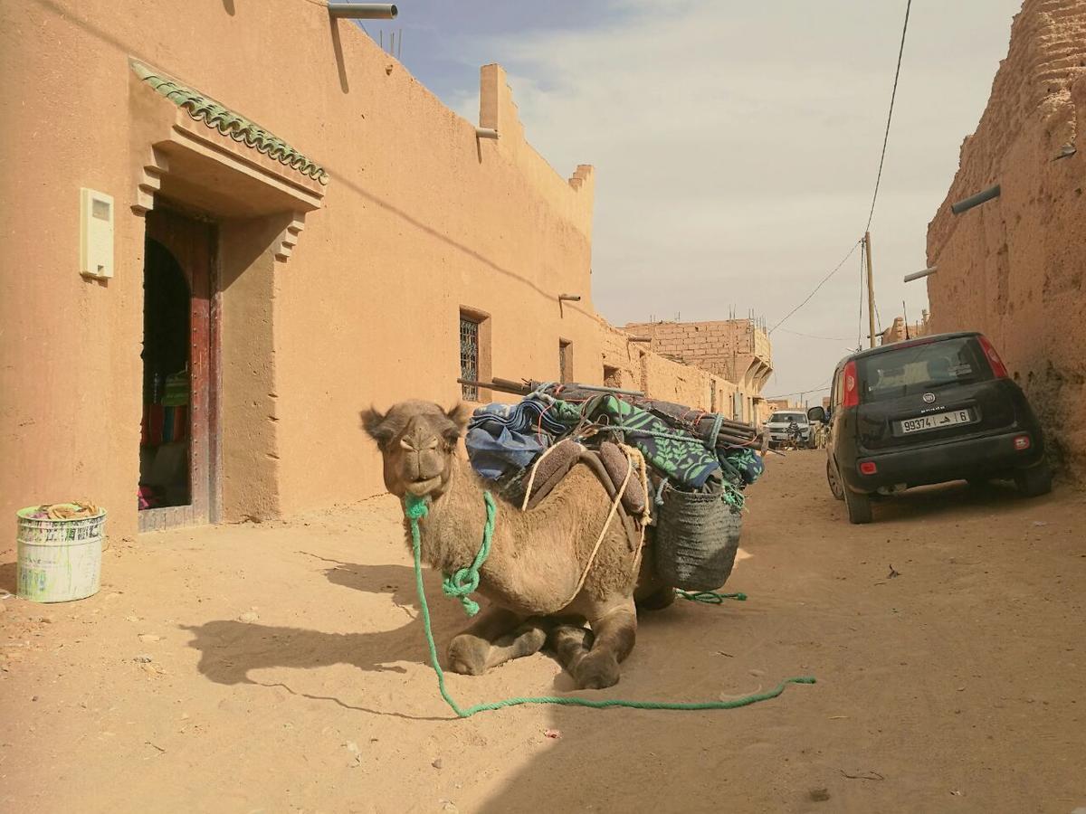 Authentic Riad & Activities Erg มามิด ภายนอก รูปภาพ